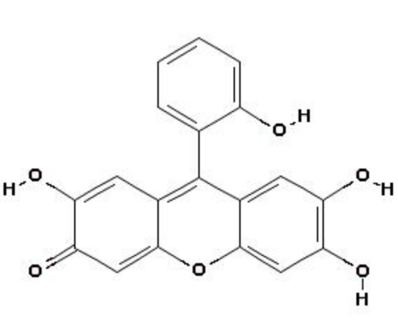 水杨基荧光酮.png